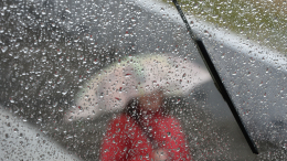 Враг ливней: какой антидождь спасет лобовое стекло от влаги и сохранит обзор на дорогу