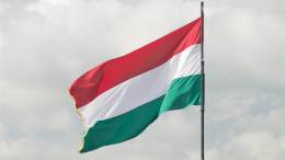 «Тревожный сигнал»: европейские неонацисты проведут масштабную встречу в Венгрии