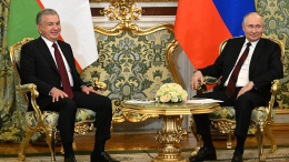 Ворота в Азию: как прошла встреча Путина с Мирзиёевым