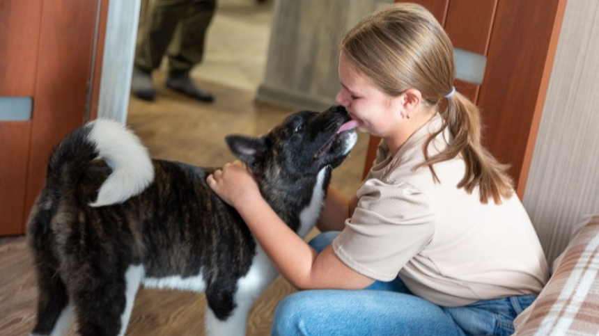 Путин подарил школьнице из Пскова щенка, о котором она долго мечтала