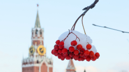 В Москве объявлено экстренное предупреждение из-за снега