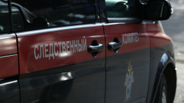 Подростки убили мужчину около ТЦ «Афимолл Сити» в Москве