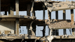 Появились спутниковые кадры разрушений в жилых районах в секторе Газа