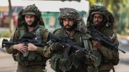 Посол Израиля в РФ опроверг данные о применении армией фосфорных бомб