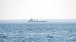 Сухогруз с украинским зерном столкнулся в Мраморном море с шедшим из РФ судном