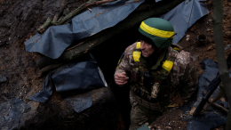 В Киеве пожаловались на нежелание украинцев защищать свою страну