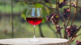 И санкции не помеха: Латвия вошла в ТОП-3 поставщиков вина в РФ, вытеснив Италию