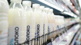 Контрафакт на полках магазинов: как отличить натуральное молоко от подделки