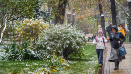 Новый ландшафт: москвичей предупредили о снежном покрове 27 октября