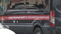 Житель Москвы убил, обезглавил и закопал родную мать
