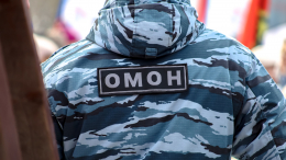 «А там реально ОМОН»: неудачный пранк в Петербурге обернулся уголовным делом