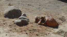 Археологи обнаружили 400-летнюю могилу ребенка-вампира