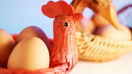 Лимит превышен: почему нельзя есть много яиц и что от этого будет