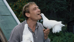 «В советском кино было главное»: Александр Михайлов объяснил успех фильма «Любовь и голуби»