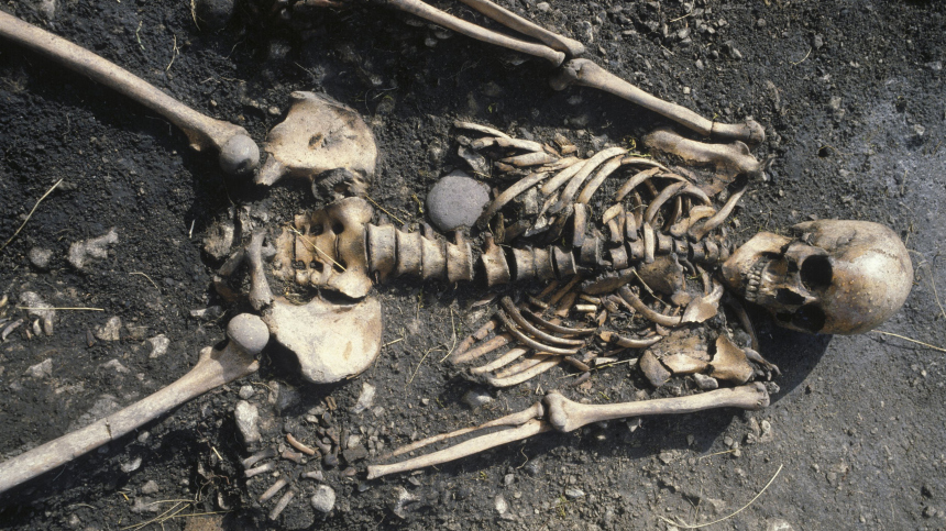 Школьник нашел скелет и документы находившегося в розыске человека