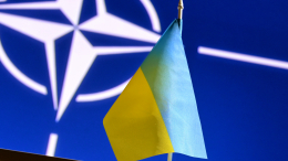 Эффект домино? Экс-главком НАТО призвал Киев признать утрату территорий