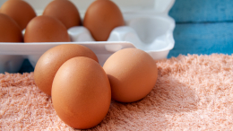 Не простое, а золотое: ФАС проверит обоснованность подорожания яиц в России