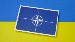 По частям: на Украине возмутились идеей принятия в НАТО без некоторых территорий