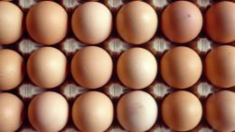 Что дороже — курица или яйцо? Почему на основной ингредиент в России взлетели цены