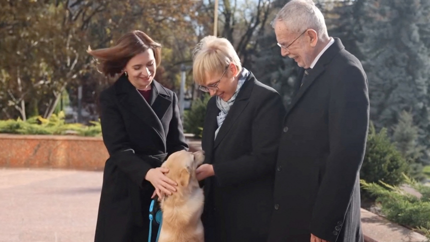 «Немедленно извинилась»: почему собака Санду укусила президента Австрии