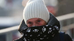 «Без скидок и шуток»: москвичей предупредили о характерной для января погоде с 19 ноября
