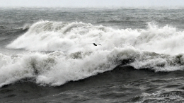 Людей едва не смыло в море: жуткий шторм ударил по Сочи