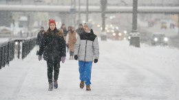 Настоящий мороз? Какую погоду ожидать москвичам на Новый год