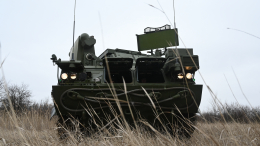 Щелкает как орехи: ЗРК «Тор» с легкостью уничтожает украинские беспилотники