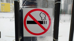 Опасная привычка: как курение «убивает» мозг и можно ли избавиться от зависимости
