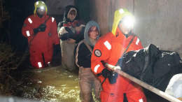 Более 500 морских животных погибли при затоплении музея в Севастополе