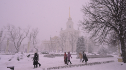 Снежный коллапс: как Москва пережила самый мощный снегопад за последние 40 лет