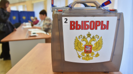 Важная дата: когда и как пройдут следующие выборы президента России
