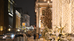 Выставки, ледовые шоу и дегустации: что ждет туристов и горожан в новогодней Москве