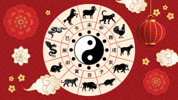 Живи, сохраняя покой: китайский гороскоп на неделю с 11 по 17 декабря