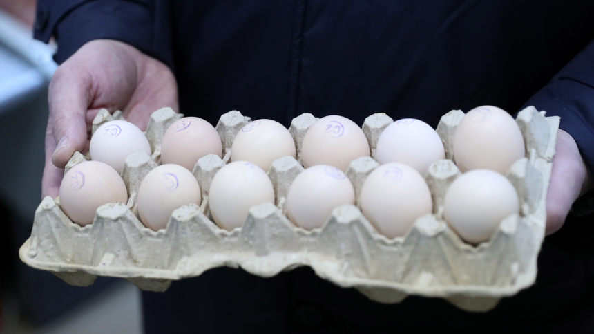 Генпрокуратура заинтересовалась подорожанием яиц в России