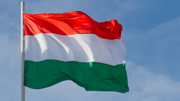 Украинский закон о нацменьшинствах раскритиковали в Венгрии