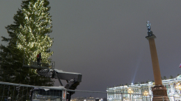 Не оторвать глаз: елку начали украшать на Дворцовой площади в Петербурге
