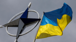Украина попадет в НАТО и ЕС «по кусочкам»