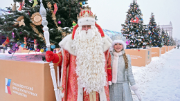 Прейскуранты праздничного настроения: услуги Деда Мороза и Снегурочки подорожали