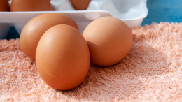 Как не стоит готовить яйца: этот способ самый вредный