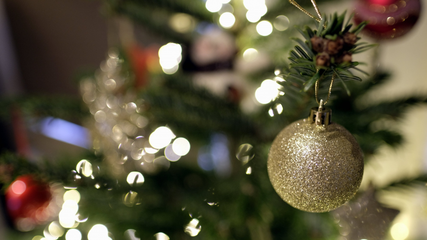 Трагедия вместо праздника: как елка может испортить Новый год