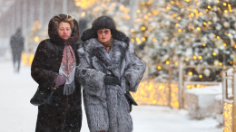 «Температура понизится»: морозец вернется в Москву после оттепели
