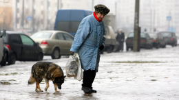 На мокром месте: Петербург «тонет» в растаявшем снегу