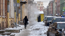 Зима не спишет: прокуратура обратила внимание на уборку снега в Петербурге