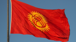 Подсолнух на флаге Киргизии сменится солнцем