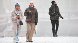 «Откроет неделю морозов»: москвичам рассказали о погоде в эти выходные