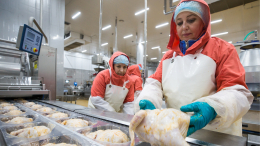В России отменили на год таможенные пошлины на ввоз куриного мяса