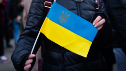Украинцы массово штурмовали консульства в Европе из-за проекта о мобилизации