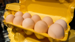 Россиянам рассказали, когда стабилизируются цены на яйца