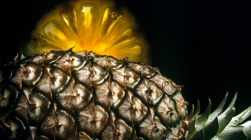 Об этом знают немногие: секреты выбора спелого ананаса